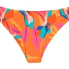 Bottom Orange-Bloom Nice