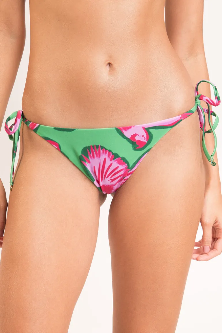 Bottom Parrots Ibiza