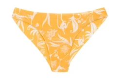 Bottom Sunny-Forest Nice