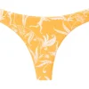 Bottom Sunny-Forest Nice-Fio