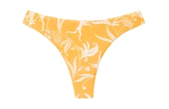 Bottom Sunny-Forest Nice-Fio