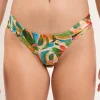 Bottom Tropical Baobi