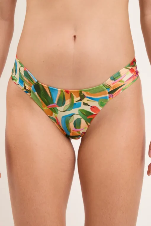 Bottom Tropical Baobi
