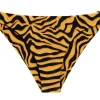 Bottom Wild-Orange Nice