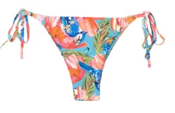 Bottom Zinnia Ibiza