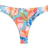 Bottom Zinnia Nice-Fio
