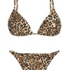 Leopardo Invisible
