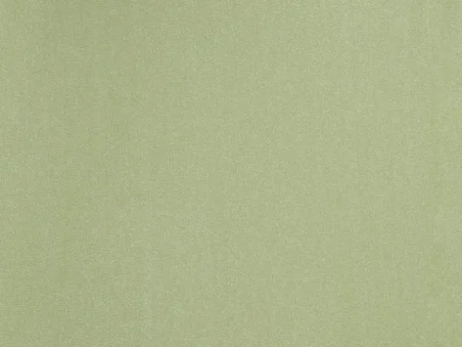 Oliva High-Neck