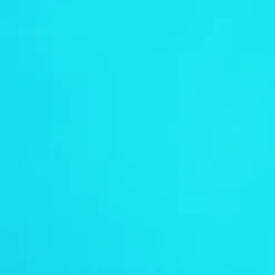 Set Miami Kate Madrid