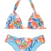 Set Zinnia Mel