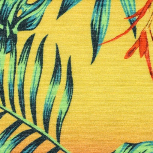 Sun-Sation Hype