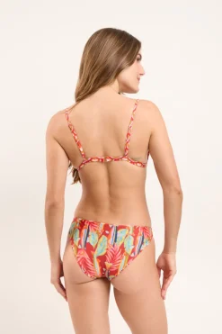 Top Floral-Scales Tri-Fixo