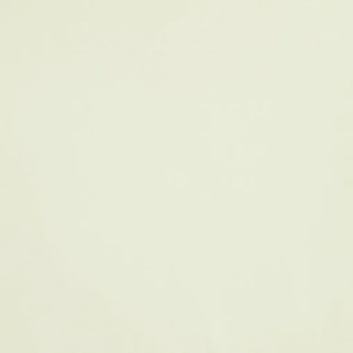 Top Off-White Mel